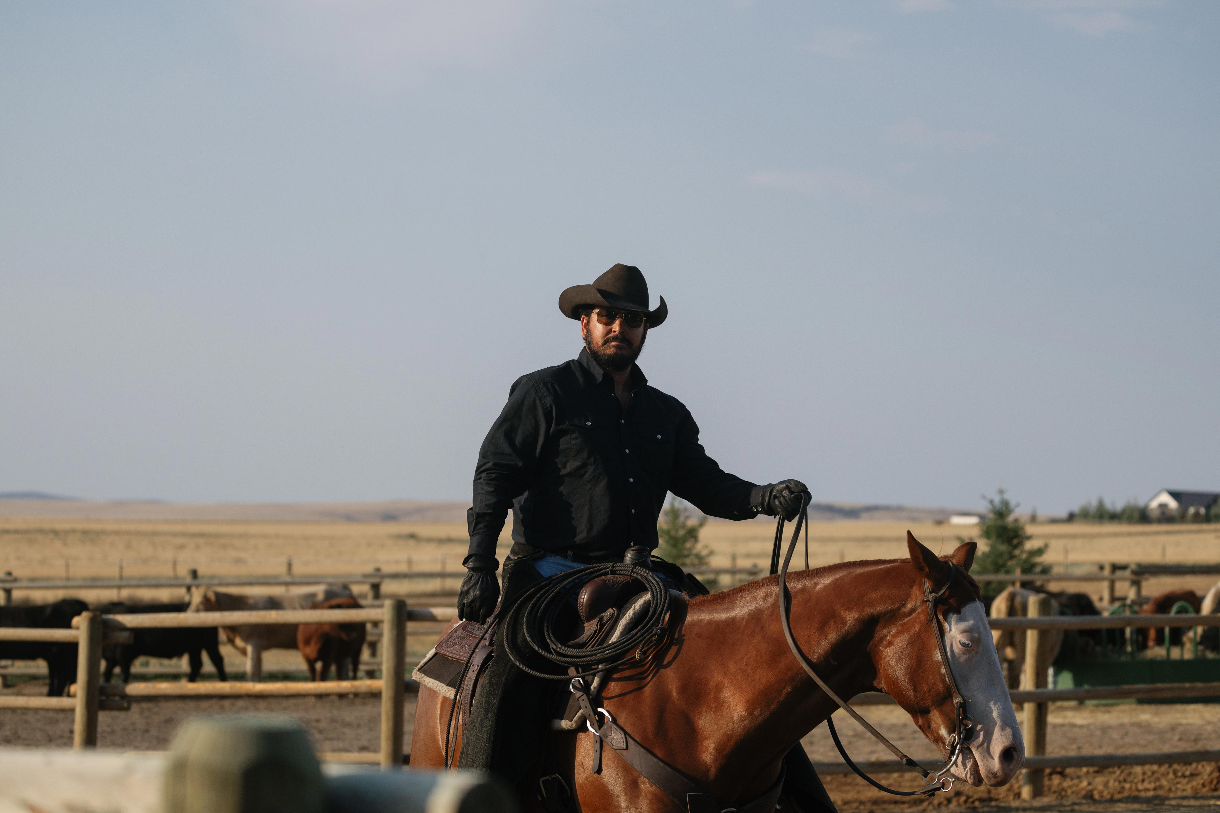 When will 'Yellowstone' Season 5, Part 2 be streaming on Peacock? Here