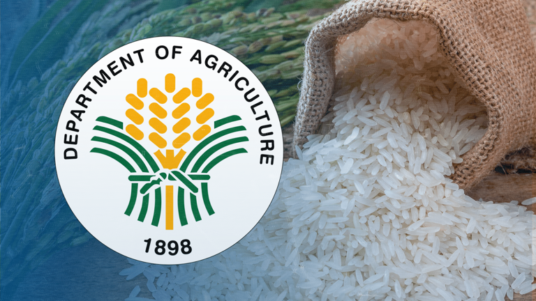Philippines’ rice import tally to decline
