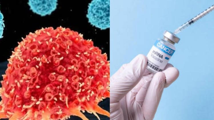 Massive breakthrough: Russia develops cancer vaccine, will distribute ...