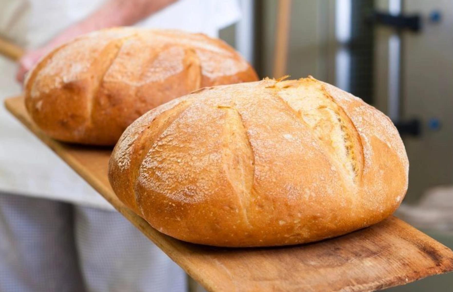 The best bakeries for beautiful bread in every US state, ranked