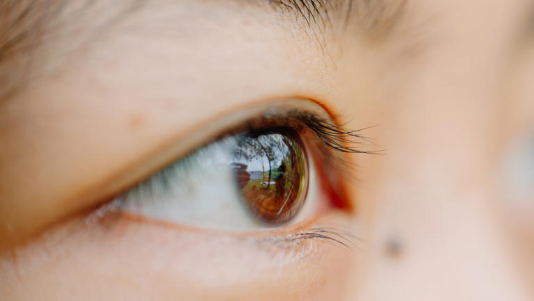 기사의 이해를 돕기 위한 이미지. / Jaenal Jalalludin-shutterstock.com