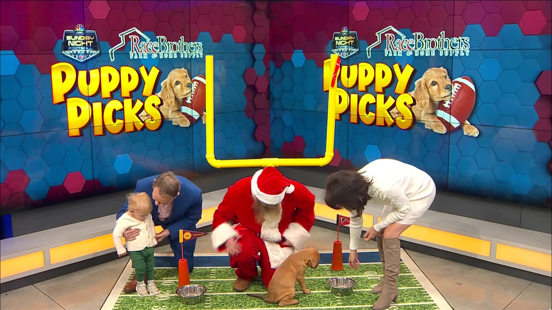 Puppy Picks Atlanta Falcons vs Washington Commanders