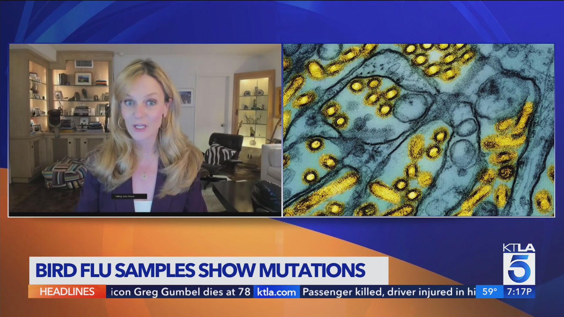 cdc-bird-flu-virus-shows-mutations-in-first-severe-human-case