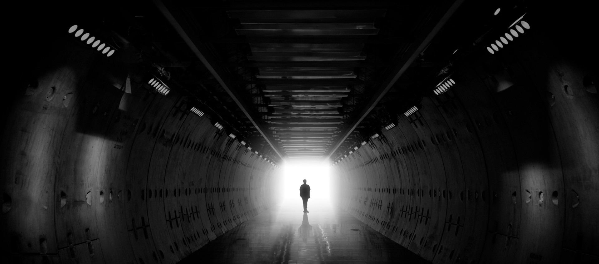 Researchers investigate possible transitional phase between life and death