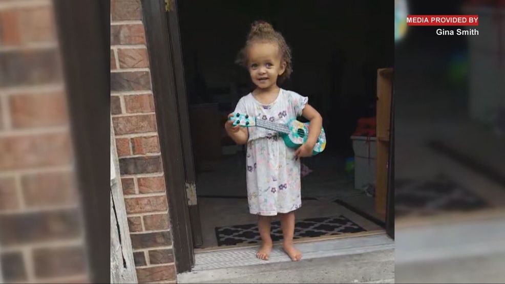 Disturbing details of toddler mauled to death by dogs revealed during(01)