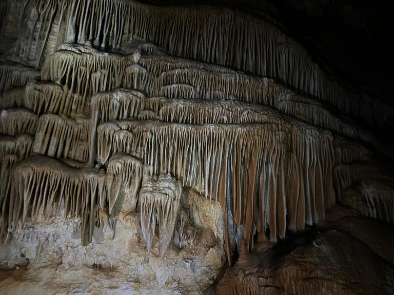 26,000-year-old Ice Age fox recovered in Utah cave