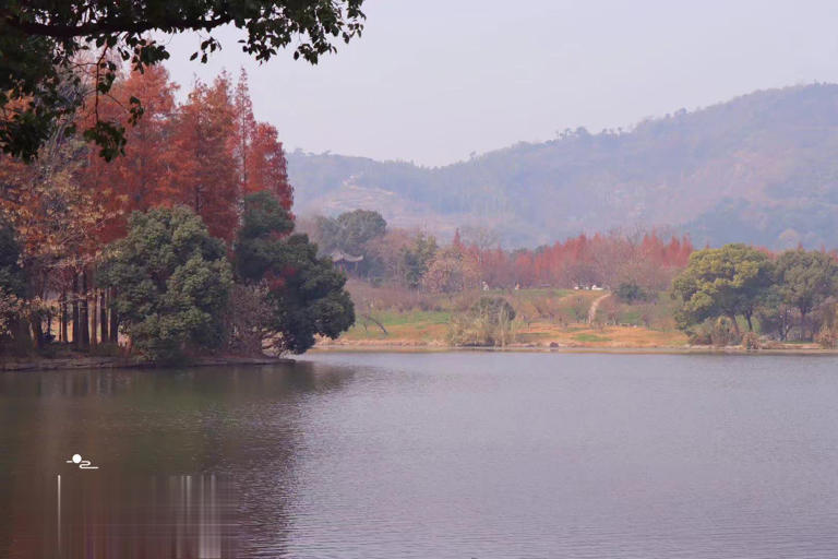 浙江宁波这座独山竟有枫香丛林，林中步道适合慢步，山下红杉更美