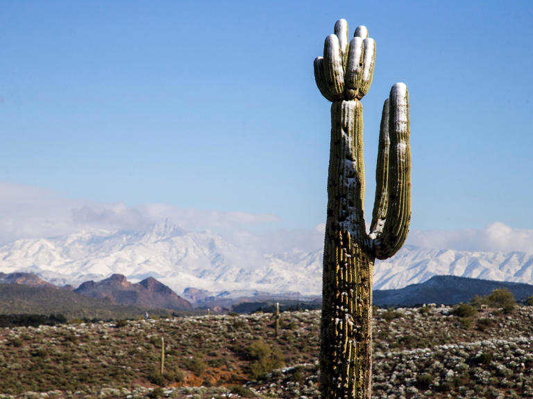 Phoenix weather continues trend of warm winter temperatures New Year's Eve