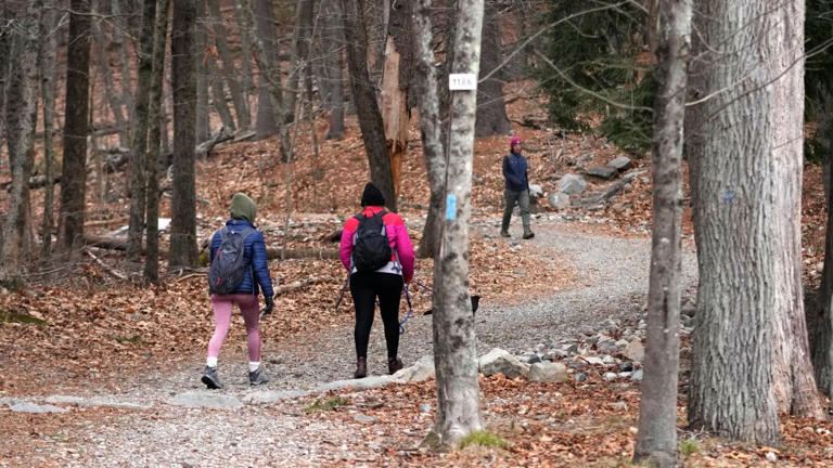 First Day Hike: Start 2025 in nature at state parks