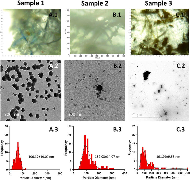 Teabags leachate characterization. (A-C.1) ATR-FTIR images of leachate pellets released from the cup-of-tea procedure of Sample 1-, Sample 2-, and Sample 3-teabags. (A-C.2) TEM images of the MNPLs fraction leached from the Sample 1-, Sample 2- and Sample 3-teabags. (A-C.3) Primary particle size of the leached MNPLs measured from TEM images (CREDIT: Chemosphere)