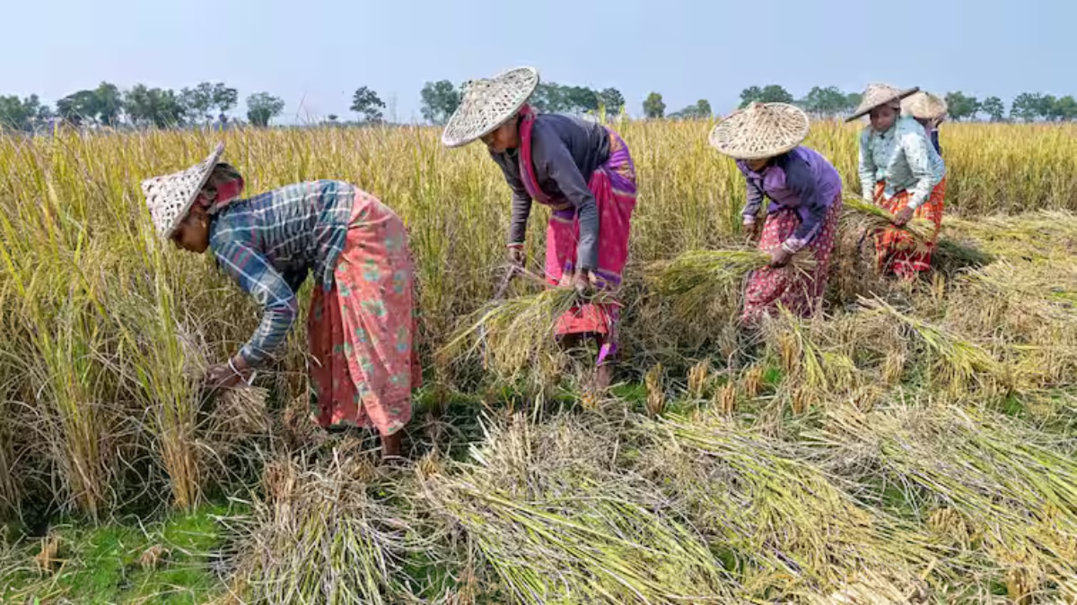 Govt Extends PMFBY RWBCIS Schemes Till 2025 26 Allocates Rs 824 77