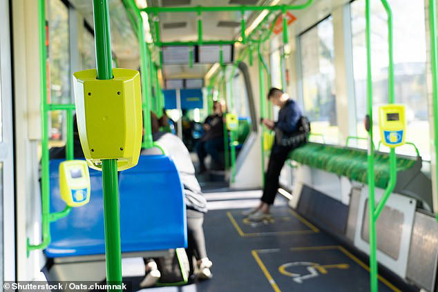 The Department for Transport (DfT) says that a fare cap allows for 'potential savings of up to 80 per cent on some routes'