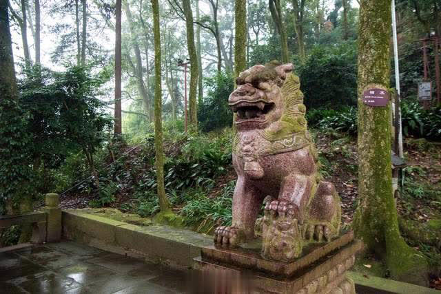 峨眉山独特古寺，内藏中国现存最大古代铜佛像，寺内建筑像蒙古包