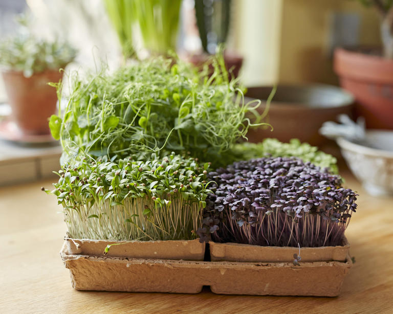 ((Image credit: Getty Images))