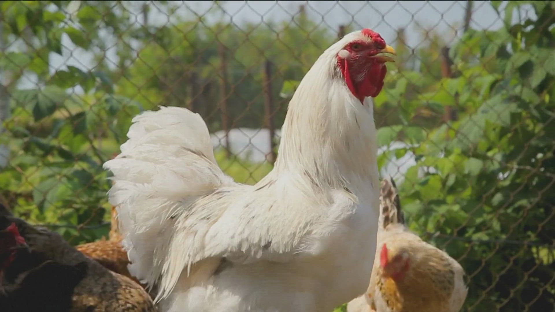 New Laws For 2025 In The Us Bess Marion