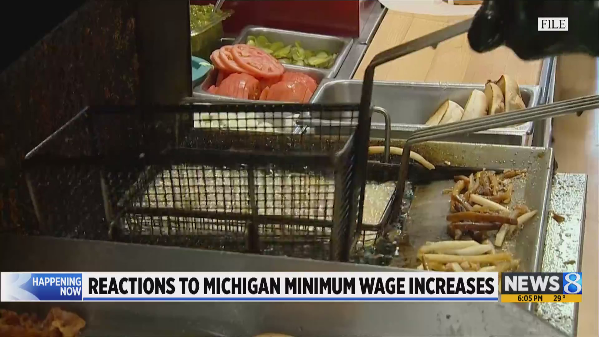 Experts discuss Michigan's minimum wage increase
