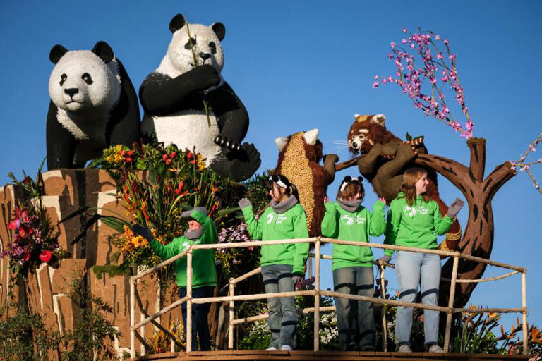 Image Ben Bredeson image beautiful image beautiful image beautiful - San Diego Zoo float wins top award in Rose Parade