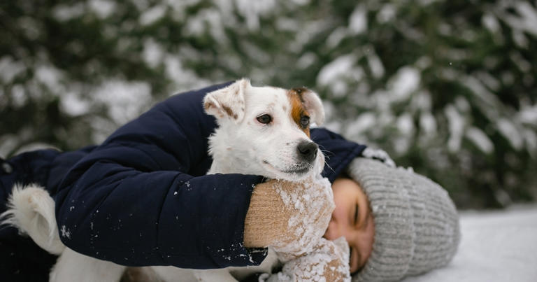 Photo: Shutterstock.com