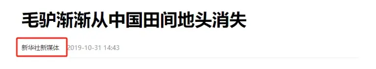 淮北灰驴2019年不足100头，30万头到濒危，中国毛驴为何越来越少