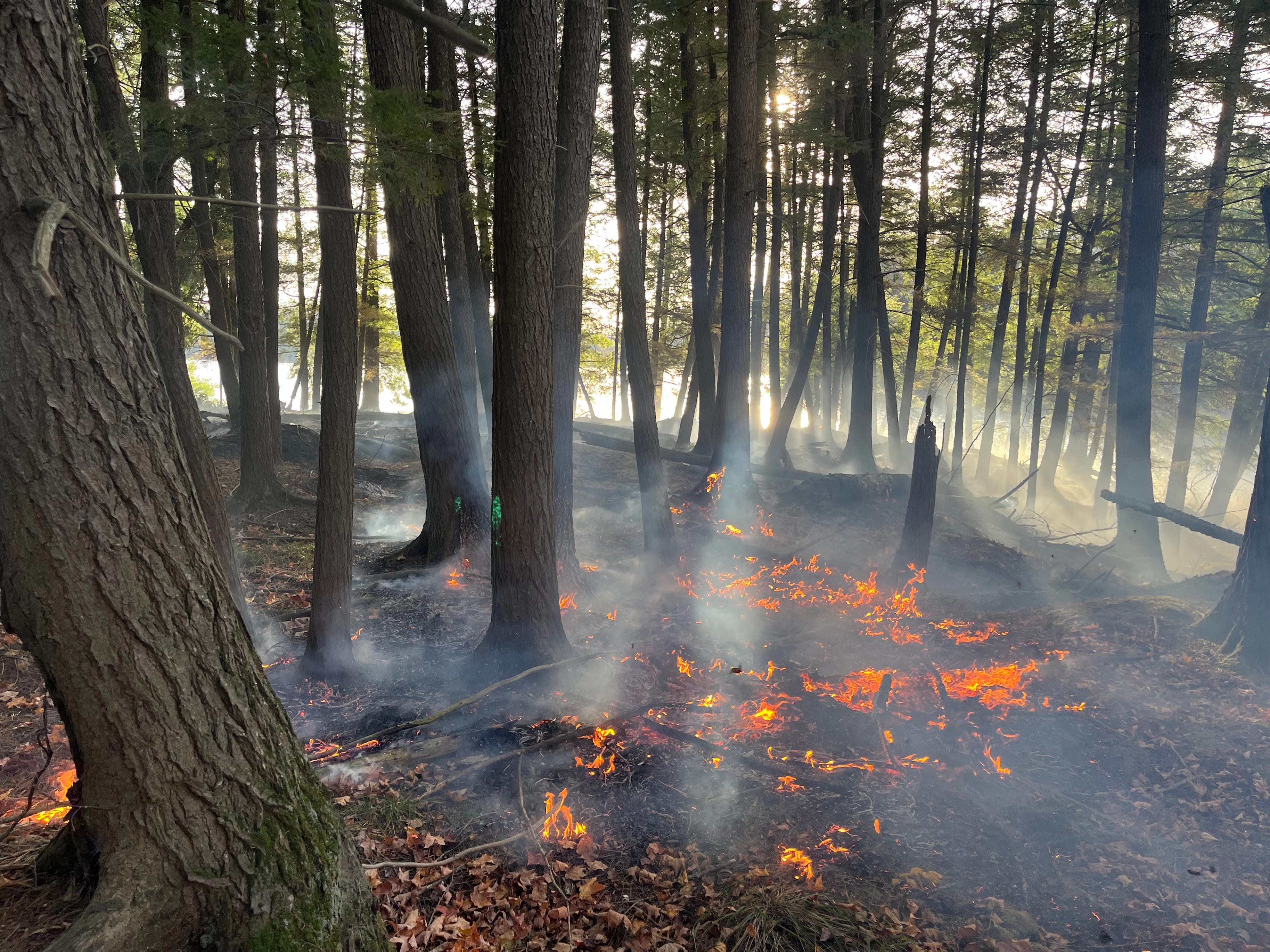 Red Flag Warning for extreme fire danger in effect for northern ...