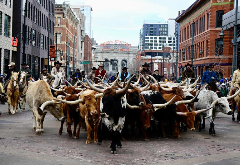 What to know about the 2025 National Western Stock Show KickOff Parade