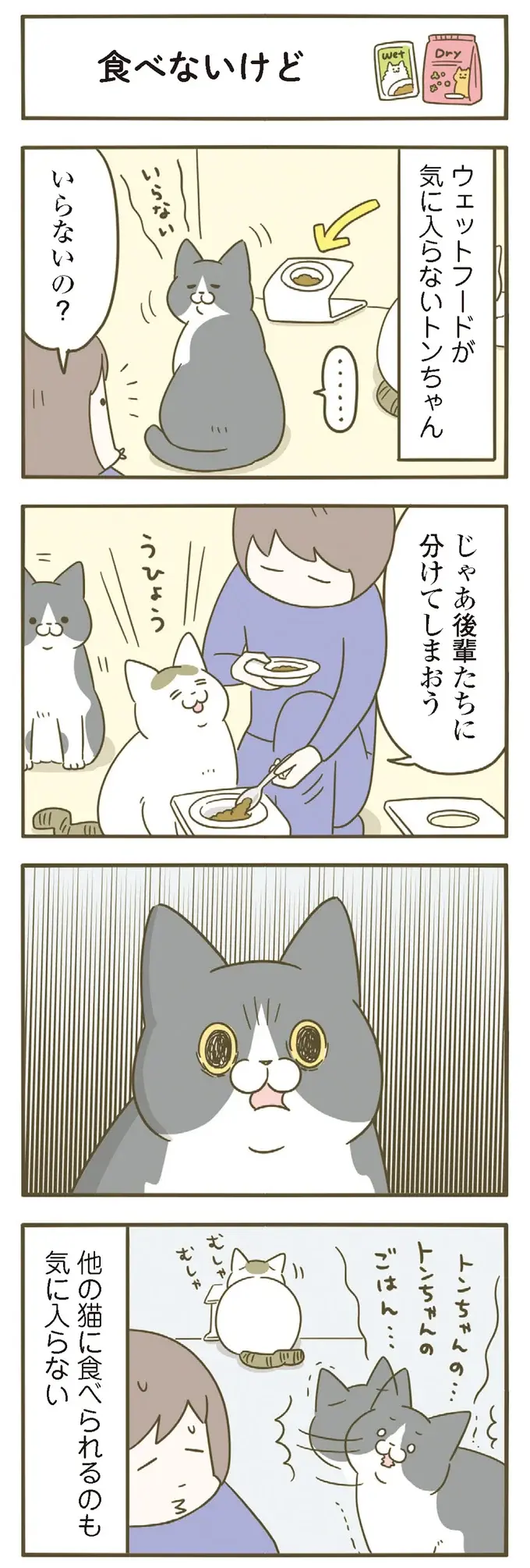 ウエットフードが気に入らない愛猫。でもだからと言ってえっ