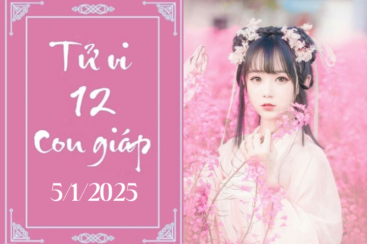 Tử vi 2025 12 con giáp