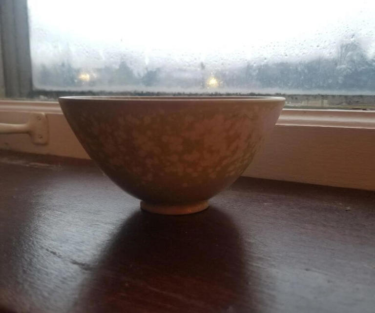 Shopped stunned to discover true value of bowl purchased at Goodwill ...