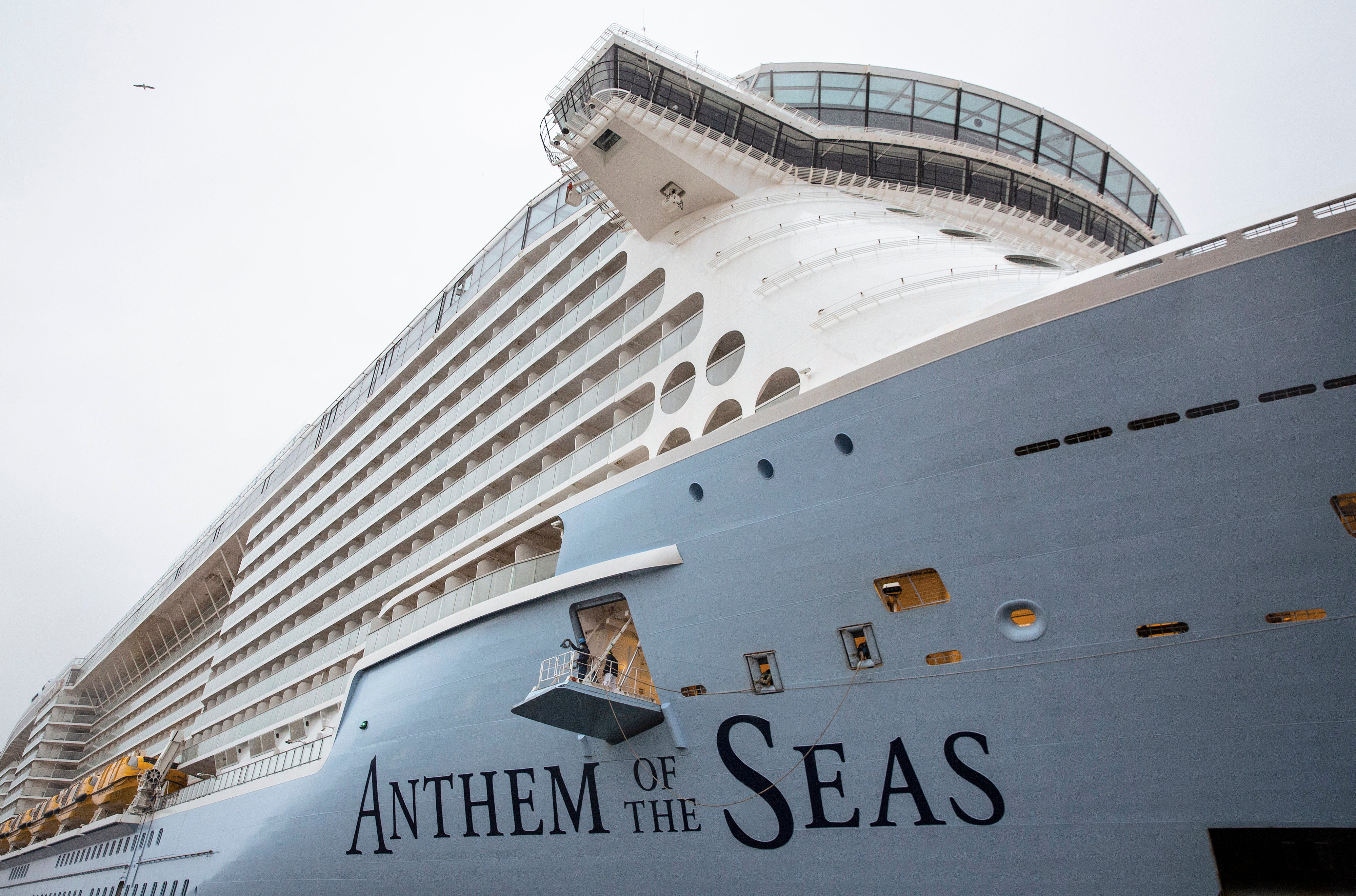 Anthem of the Seas will visit Tokyo in 2025 (Royal Caribbean)