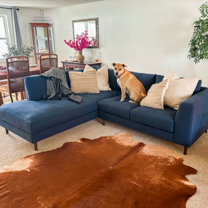 The best sectional sofas, long-term tested for comfort and durability
