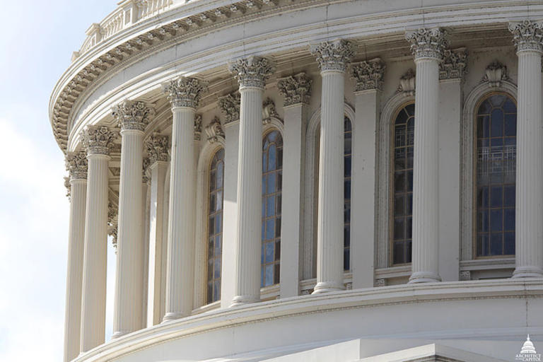 Senate Democrats raise questions about Pentagon's rare earth company stake