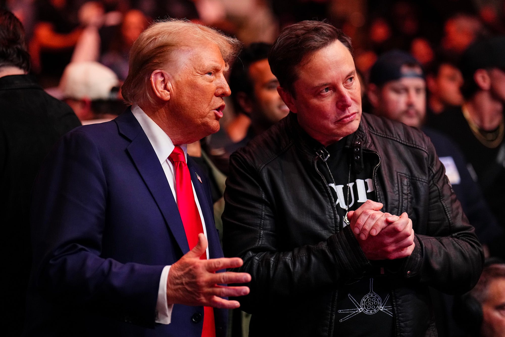 Trump has tasked Musk with gutting government spending through the Department of Government Efficiency. Chris Unger/Zuffa LLC via Getty Images