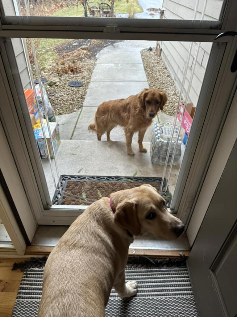 Her Mom Reported Her Missing But She'd Just Snuck Out To Visit Santa