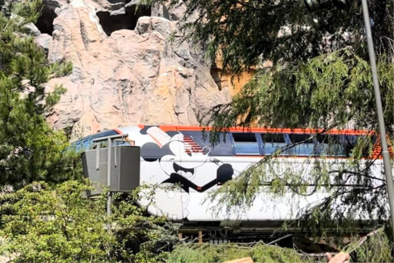 Full List Of Disneyland Ride Closures For January 2025