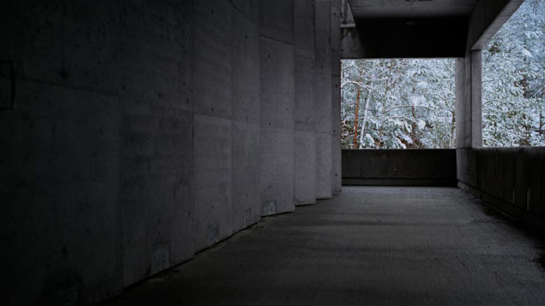 How ‘The Brutalist’ built architect László Tóth — inside and out