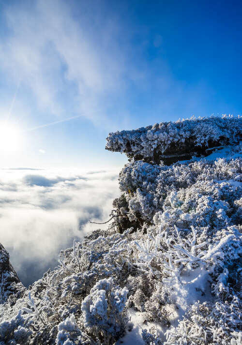 峨眉山冬日探秘：雪域佛国的心灵之旅