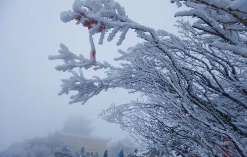 峨眉山冬日探秘：雪域佛国的心灵之旅