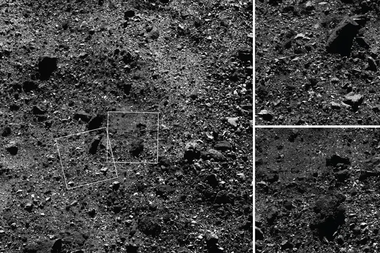 人类去3.4亿公里外“挖土”，在其中发现地球生物，竟然还是活的