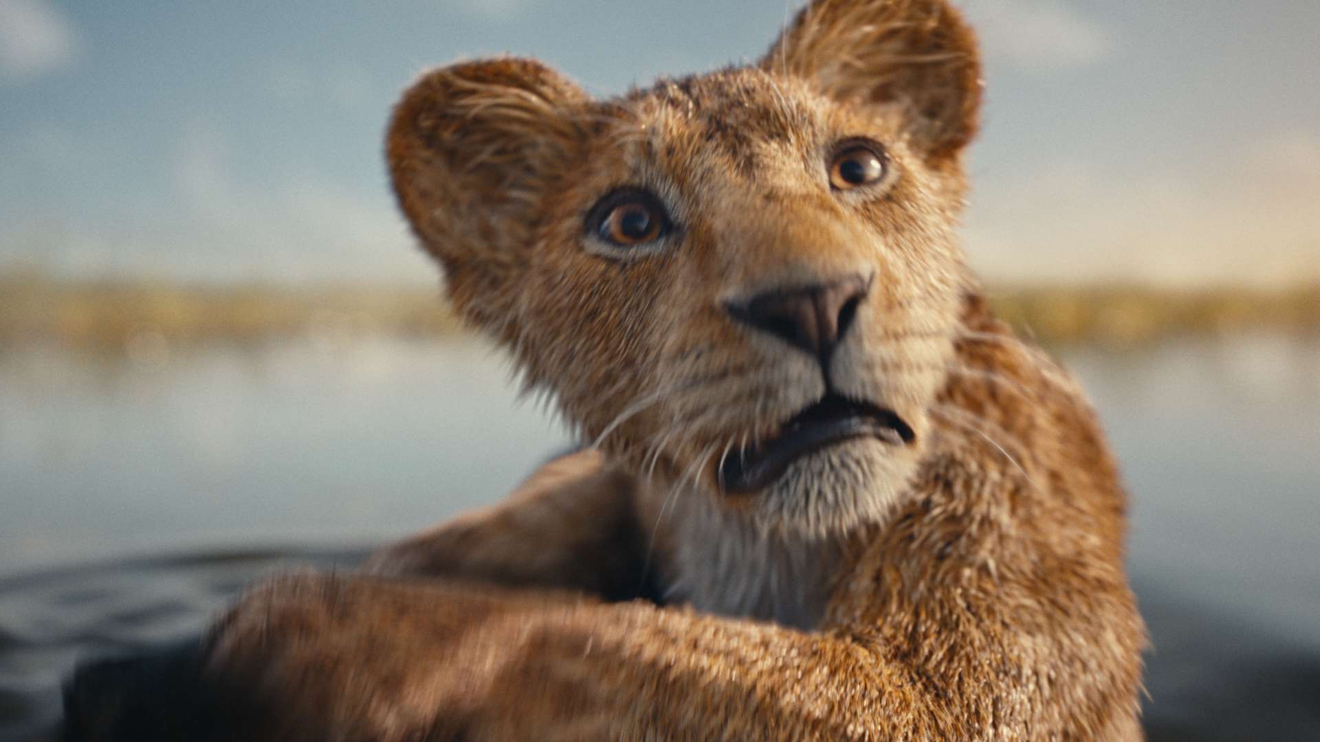 Here's When “Mufasa The Lion King” Will Be Available to Stream on