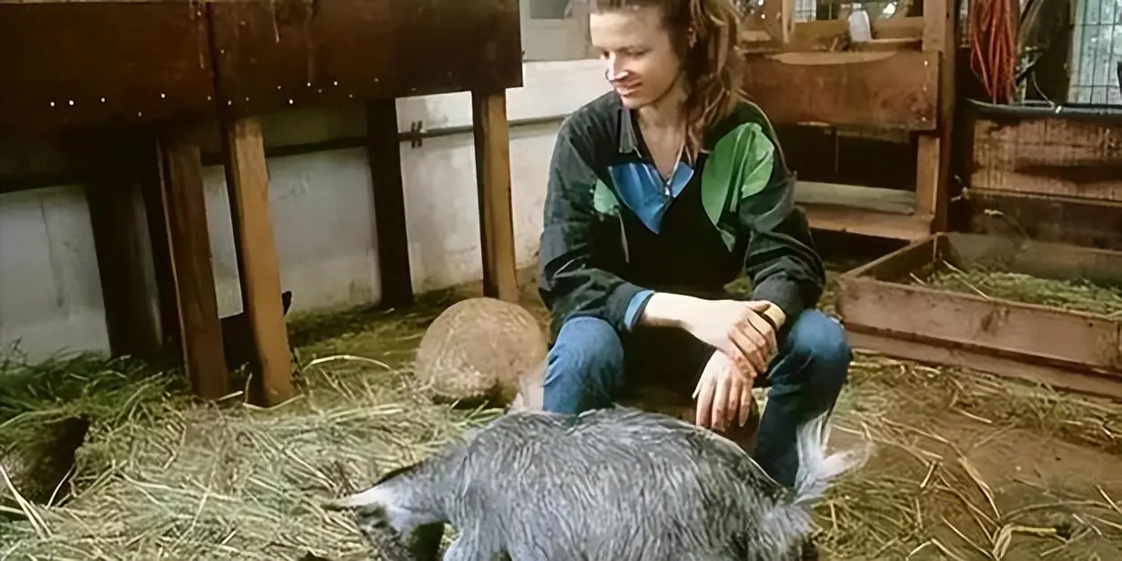 33年前，美国曾做过一个实验，将4男4女关一起两年，结果怎样？