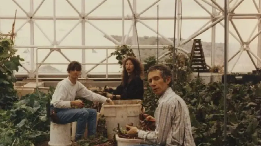 33年前，美国曾做过一个实验，将4男4女关一起两年，结果怎样？