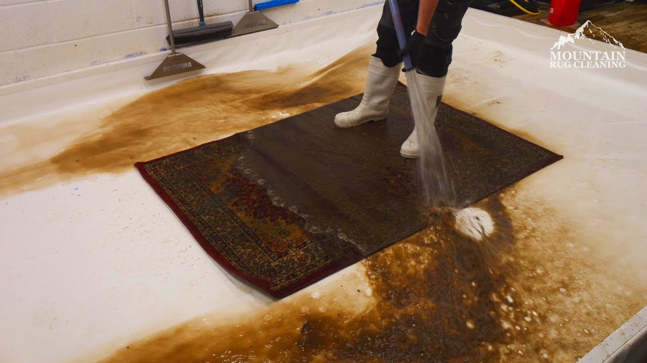 Relax And Enjoy The Soothing Sounds Of Rug Cleaning Asmr Satisfying