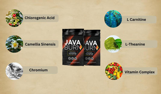 Java Burn Ingredients