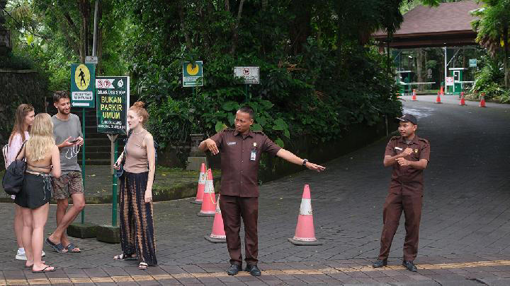 Destinasi Wisata Monkey Forest di Bali Memperketat Keamanan saat Musim Hujan