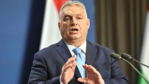 Ungarn will unliebsamen Bürgern den Pass entziehen