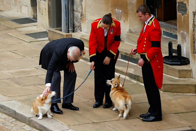 Why Prince Andrew Reportedly 