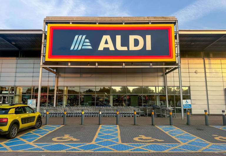 10 Hilarious memes that show ‘shopping at Aldi’ is like entering a ...