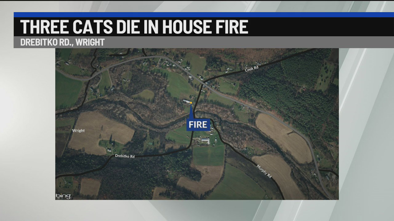 3 cats lost in Schoharie County trailer fire 3 cats lost in Schoharie County trailer fire