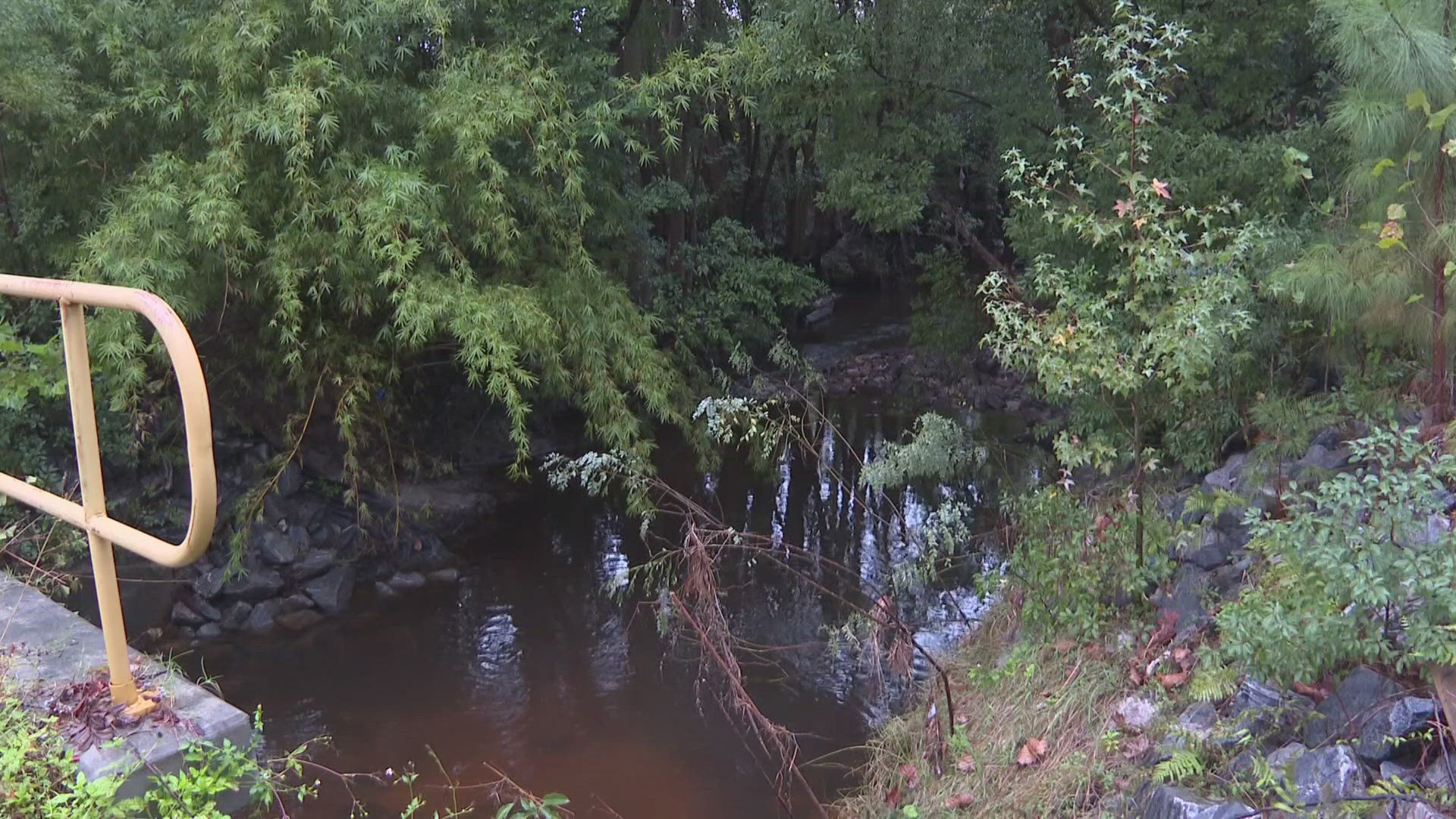 Costly Canals: Flooding Crisis In Waycross Plaguing Residents