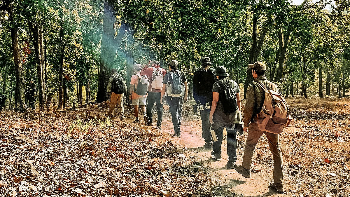 Celebrate New Year's 2025: Top destinations in India for every traveller